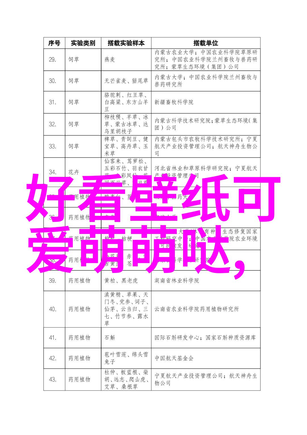 超可爱的小女孩背后的秘密是什么