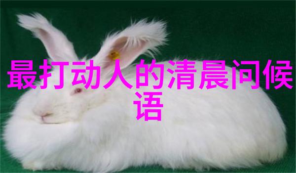 帕丽斯与巫师模样男子怪异同行匪夷所思