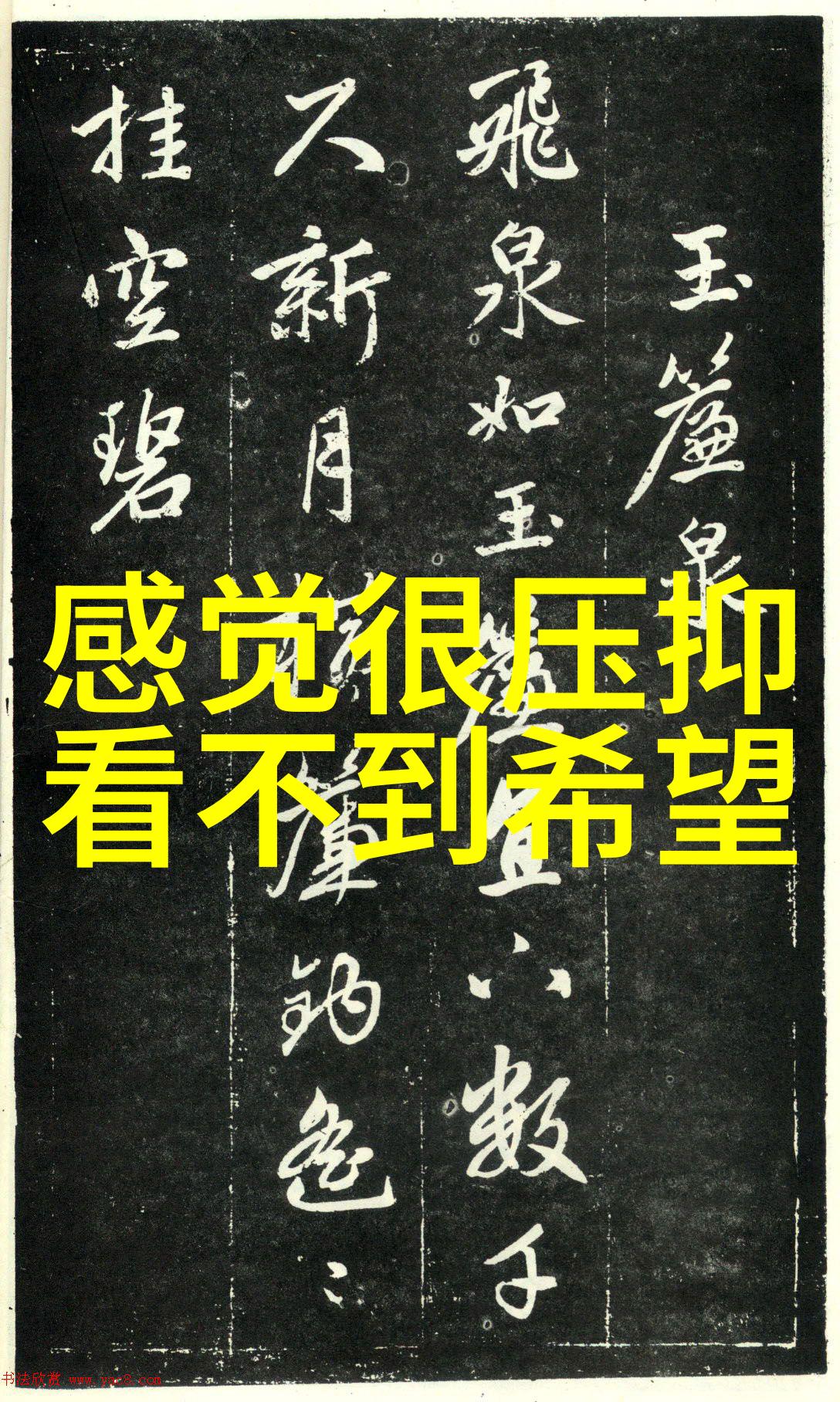 欢快可爱的歌曲轻松愉悦的音乐