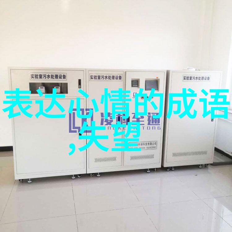从零到英雄如何通过健身增强女性乳房肌肉力量
