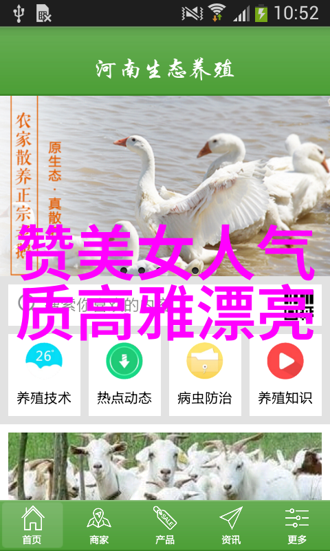 宝宝在车里的小小英雄