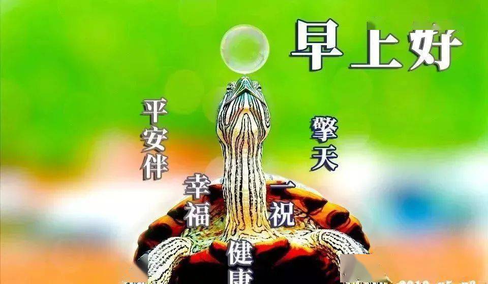 早上问候表情包_问候表情包_中老年问候表情包
