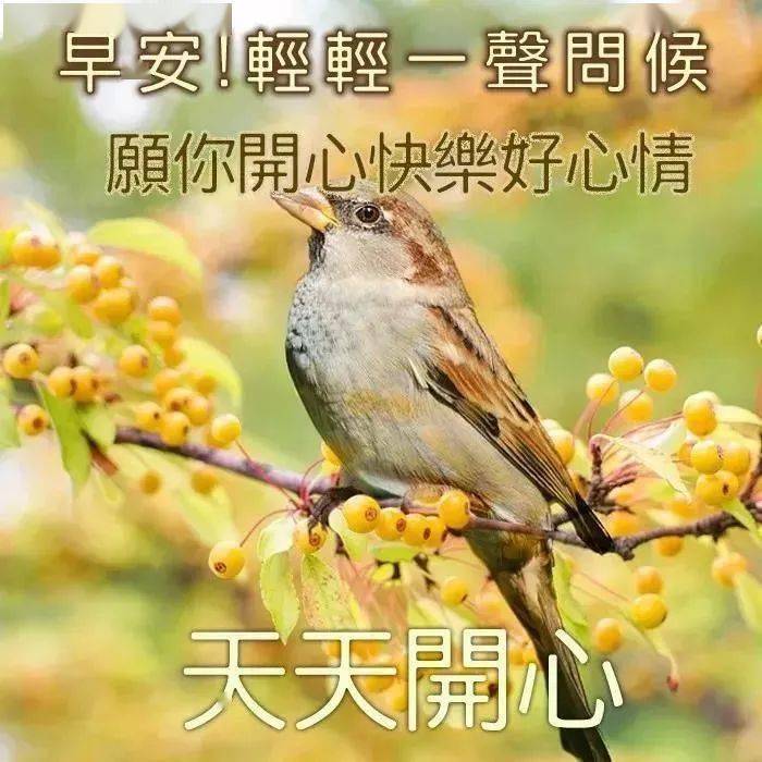 问候表情包_中老年问候表情包_早上问候表情包