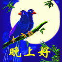 学业进步