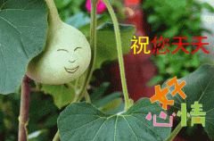 2020非常精致的早安温暖祝福表情图片微信早安阳