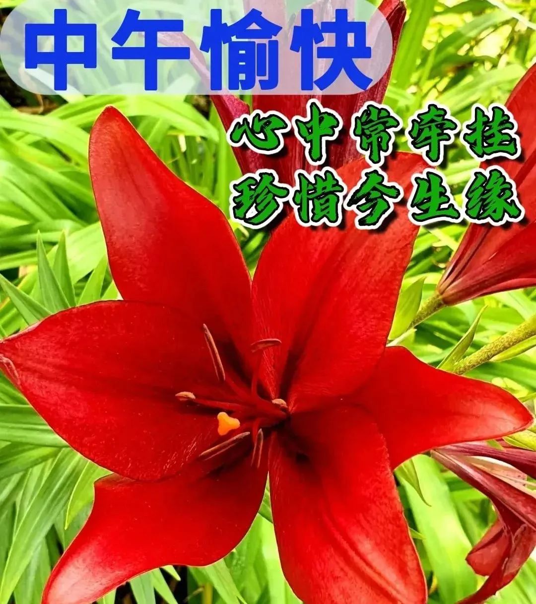 中老年问候表情包_美女早上问候表情包_问候表情包