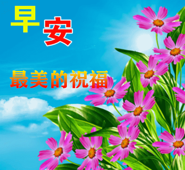 问候表情包_美女早上问候表情包_中老年问候表情包