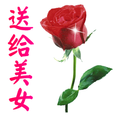 中老年问候表情包_美女早上问候表情包_问候表情包