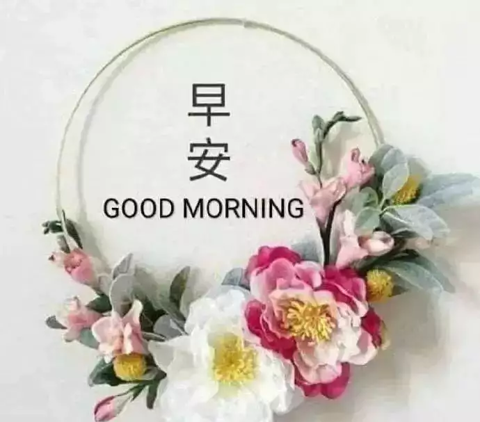 祝福问候早安中午好表情包祝福问候