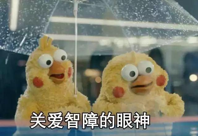 明星表情包_表情包的明星的名字_表情才明星