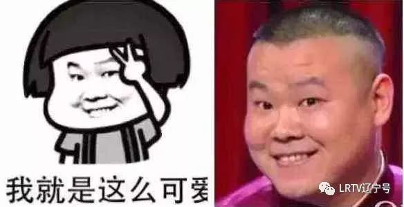 明星表情包_明星表情包app_表情明星图片