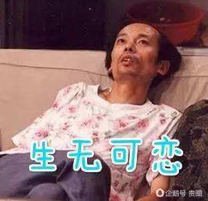 明星表情包app_表情才明星_明星表情包