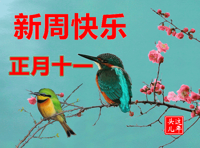 问候表情包_问候表情包图片大全集_美女早上问候表情包
