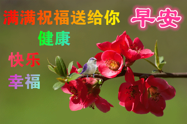 美女早上问候表情包_问候表情包图片大全集_问候表情包