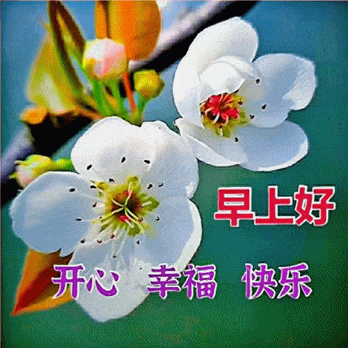 早上问候表情包_问候表情包_问候表情包图片大全集
