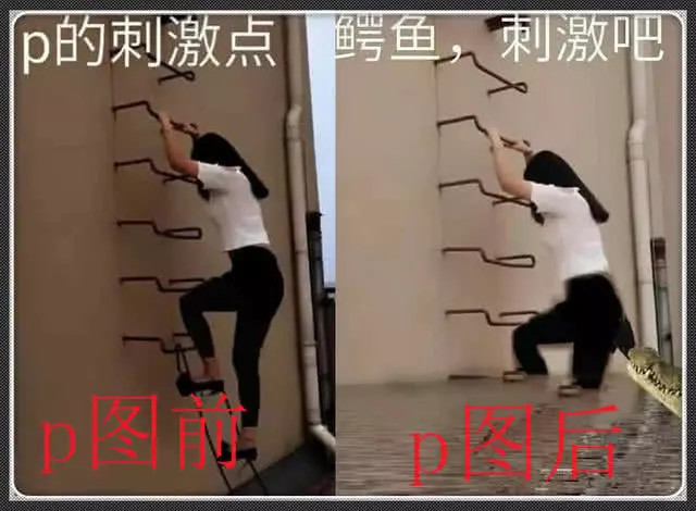 美女放屁表情包_美女qq表情包_美女表情包