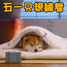 节日表情包图片_节日表情包_节日表情包动态图片