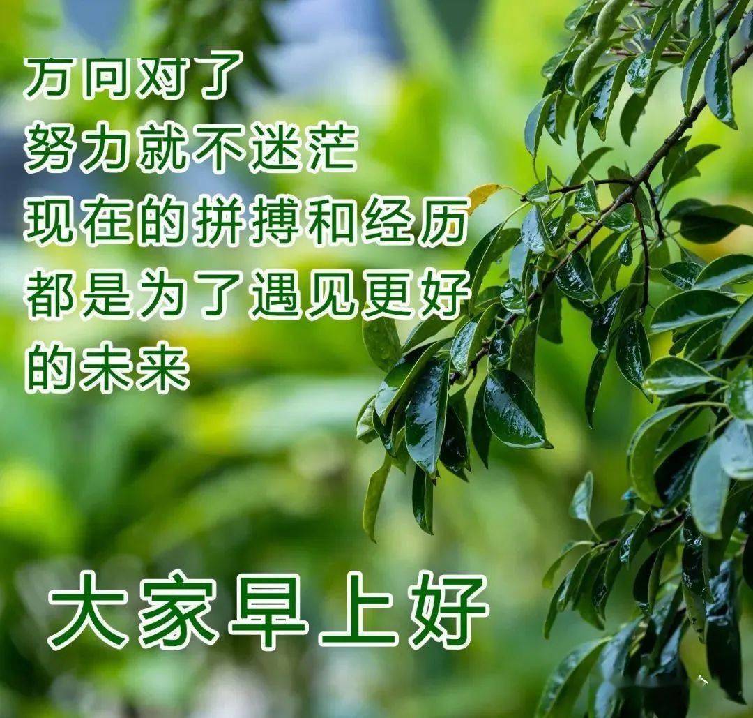 中老年问候表情包_问候表情包_早上问候表情包