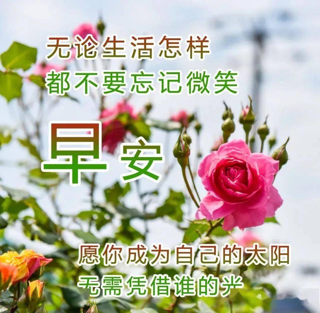 中老年问候表情包_早上问候表情包_问候表情包