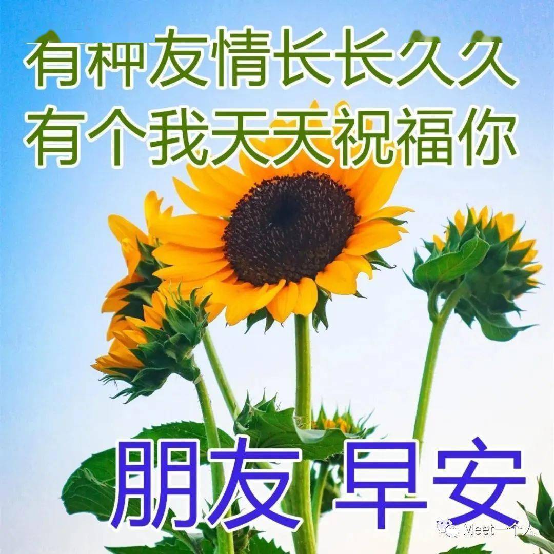 中老年问候表情包_早上问候表情包_问候表情包