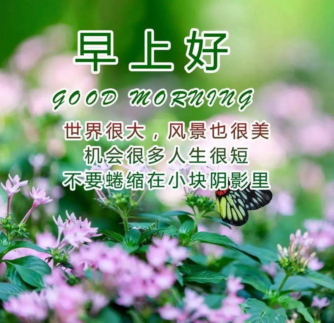早上问候表情包_中老年问候表情包_问候表情包