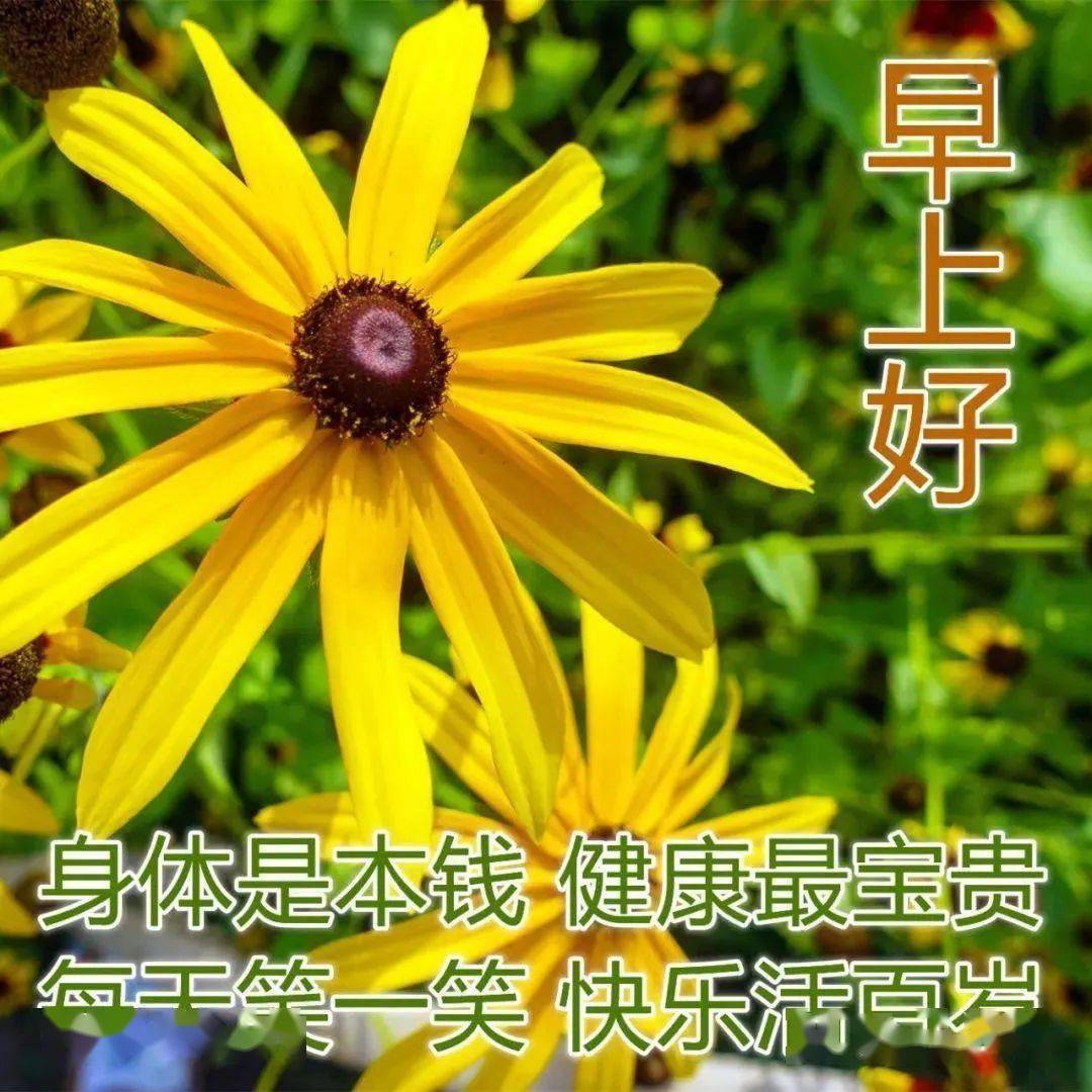 中老年问候表情包_早上问候表情包_问候表情包