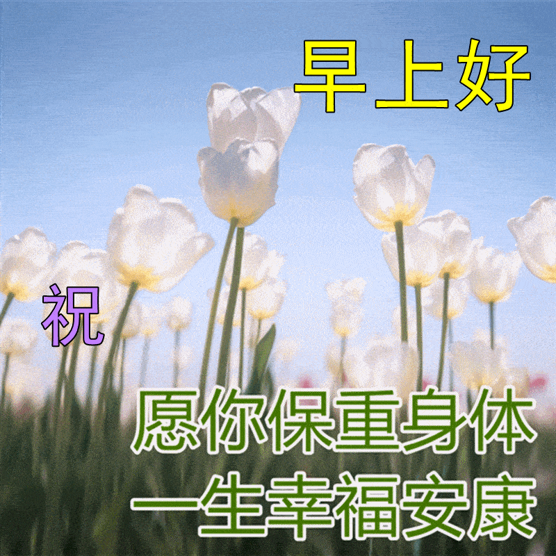 问候表情包_中老年问候表情包_早上问候表情包