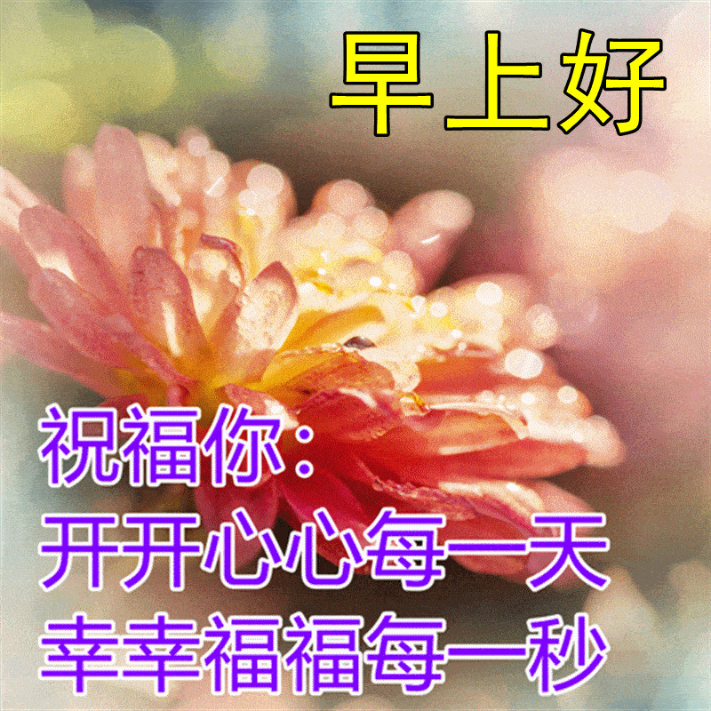 早上问候表情包_中老年问候表情包_问候表情包