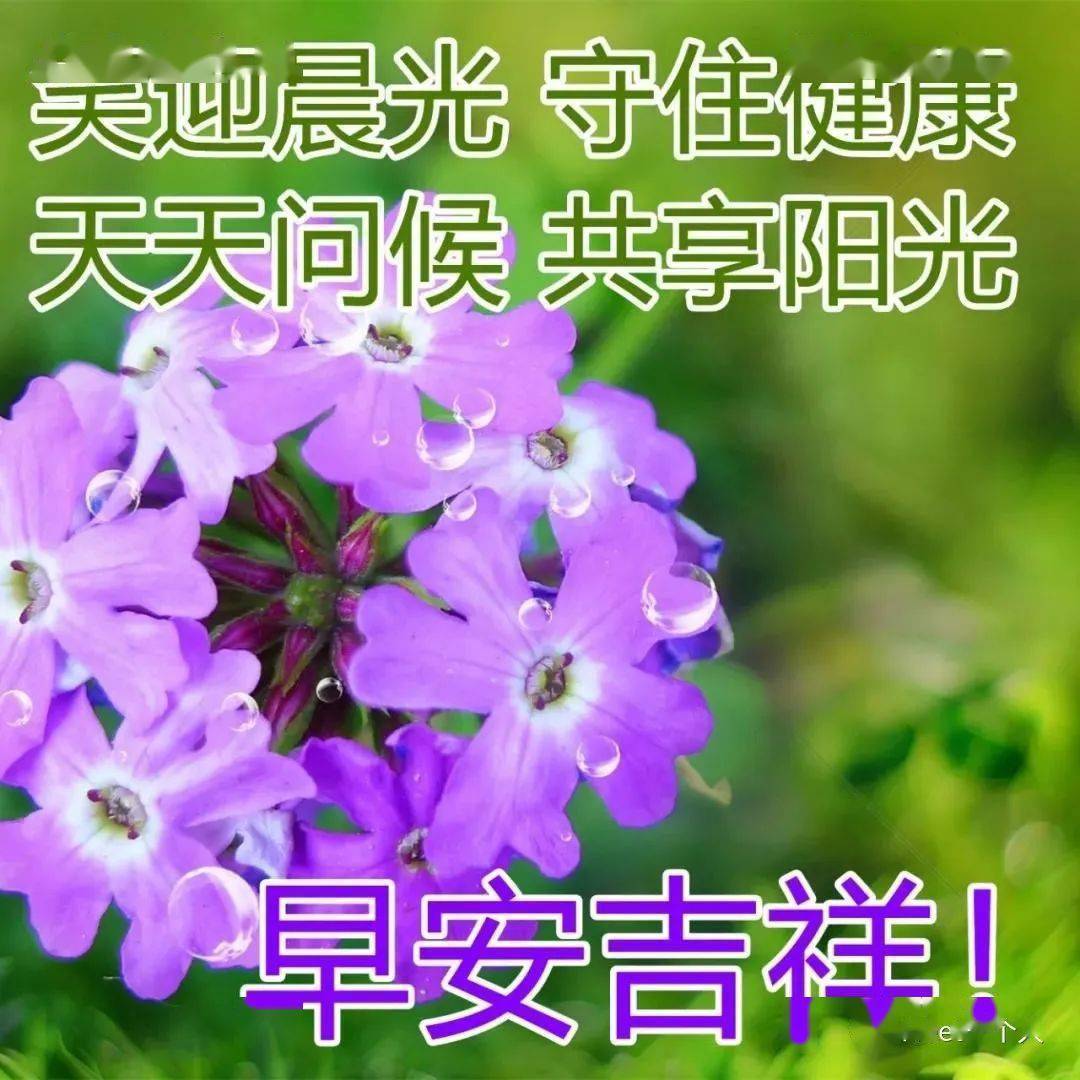 中老年问候表情包_问候表情包_早上问候表情包