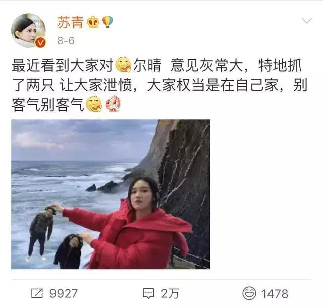 表情才明星_表情包的明星的名字_明星表情包