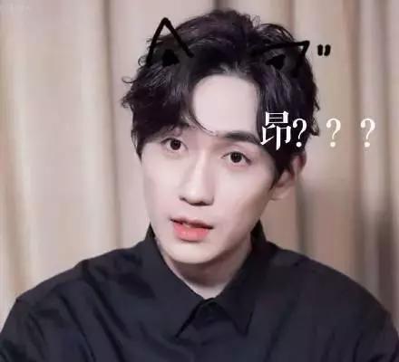 表情才明星_明星表情包_表情包的明星的名字