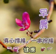 最新早上好表情图片合集简单的问候永恒的祝福