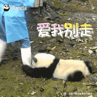 明星知道表情包吗_搞笑明星表情包_明星表情包