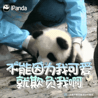 搞笑明星表情包_明星表情包_明星知道表情包吗