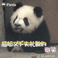 明星知道表情包吗_搞笑明星表情包_明星表情包