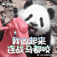 明星知道表情包吗_明星表情包_搞笑明星表情包