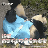 明星表情包_搞笑明星表情包_明星知道表情包吗