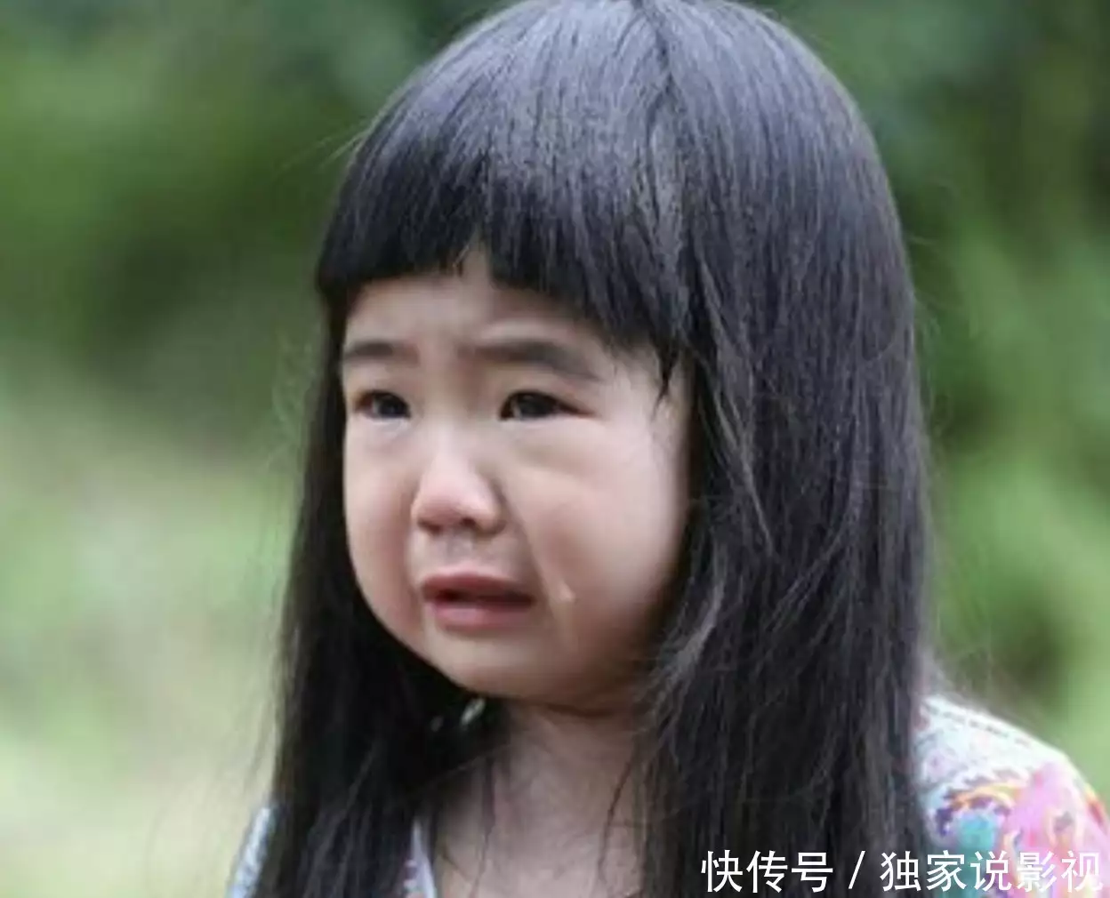 表情才明星_明星表情包_明星表情包app