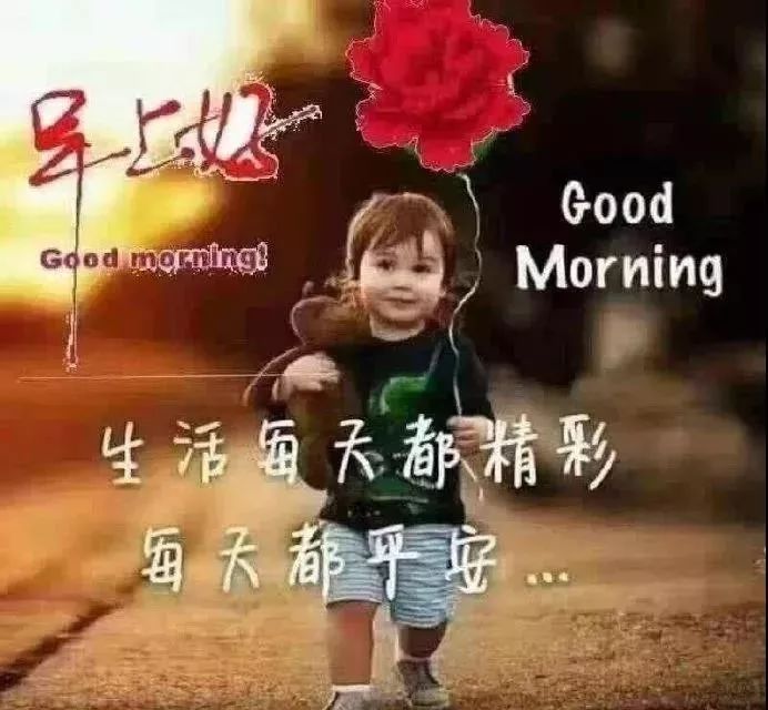 中老年问候表情包_最好的早晨问候表情包_问候表情包