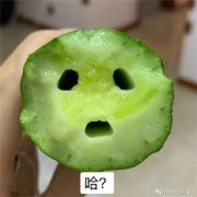 微博精选的全网在用的黄瓜表情包合集 火遍全网