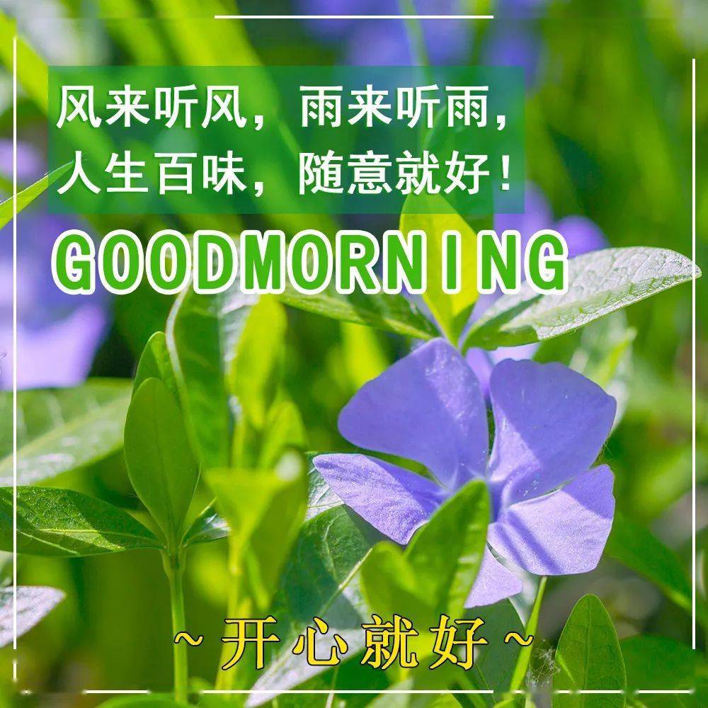 心情表情包_表情包图片心情低落_表情心情图