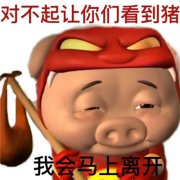 疯了的猪猪侠表情包 对不起让你看到猪我会马上
