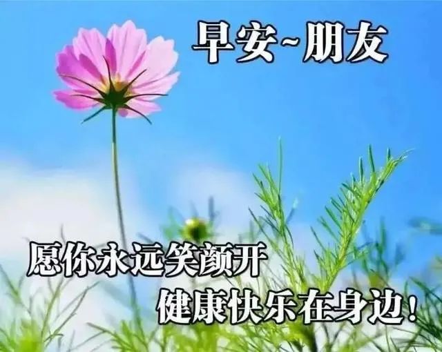 问候表情包图片大全集_中老年问候表情包_问候表情包