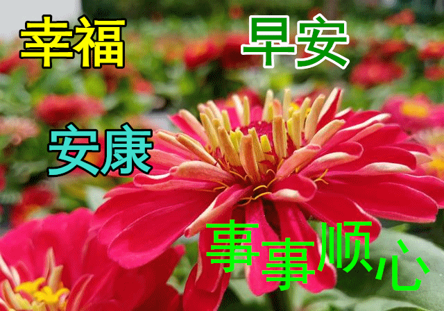 问候表情包_美女早上问候表情包_早上问候表情包