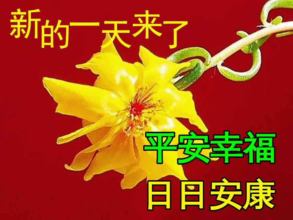 早上问候表情包_美女早上问候表情包_问候表情包