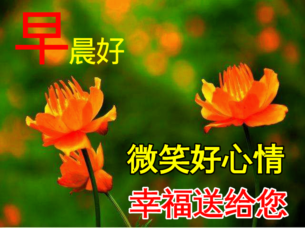 美女早上问候表情包_早上问候表情包_问候表情包