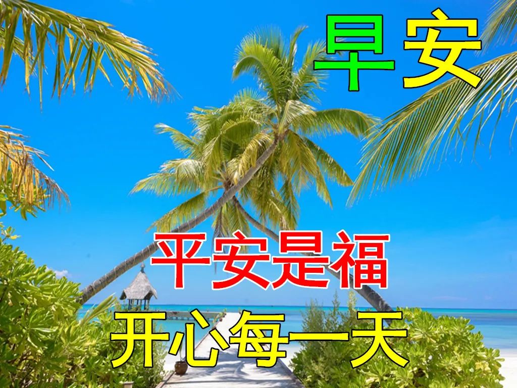早上问候表情包_问候表情包_美女早上问候表情包